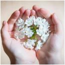 愛されることを怖がっていませんか？