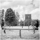 恋愛はシーソーゲーム？